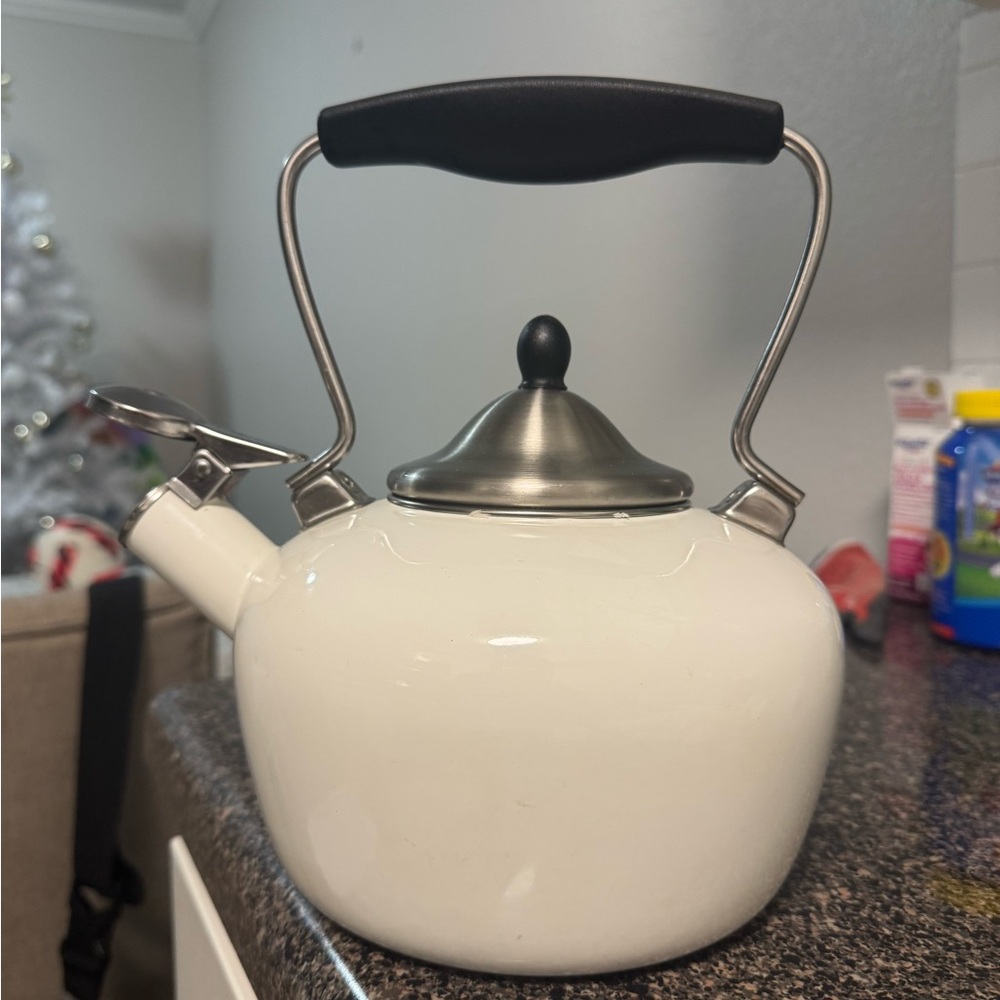 Elegant White Stainless Steel Teapot